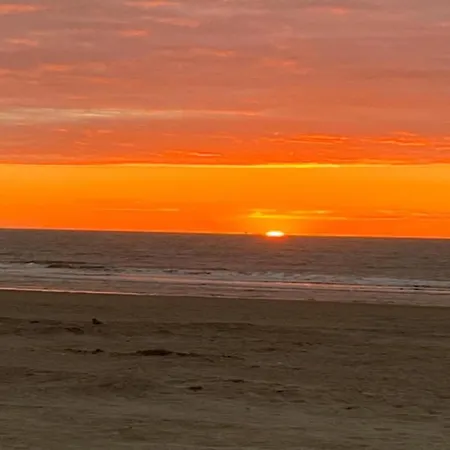 Apartment In Near The Seawall Ostende