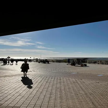 In Near The Seawall Apartment *