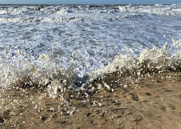 In Near The Seawall * Ostende
