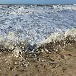 In Near The Seawall * Οστένδη